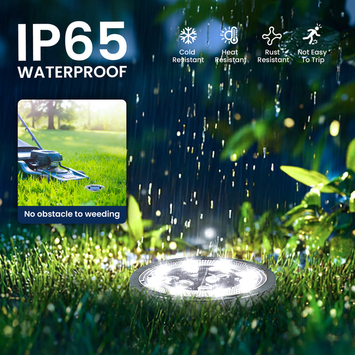 Pathway Glow Solar Light