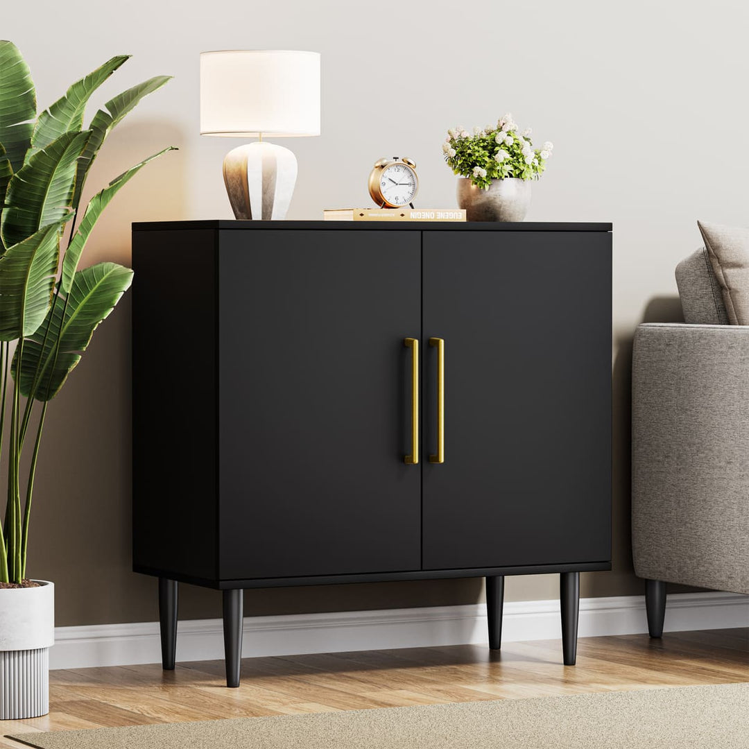 2-Door Accent Cabinet with Gold Handles