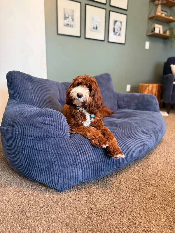 Customer photo in a real home